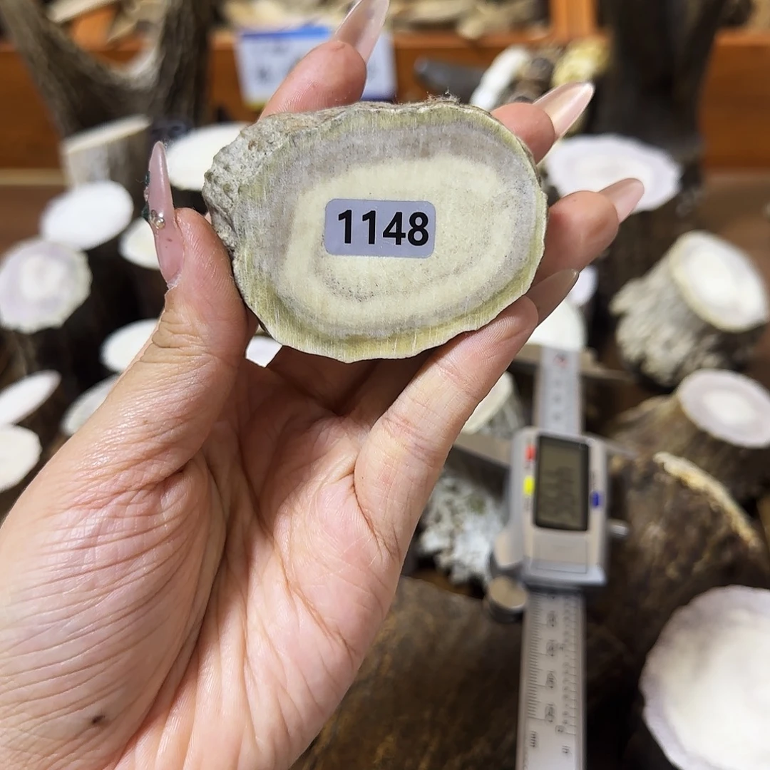 鹿骨手串/手链1148片