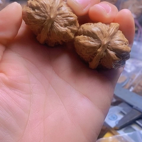 桃核把件34蛤蟆头狮子头