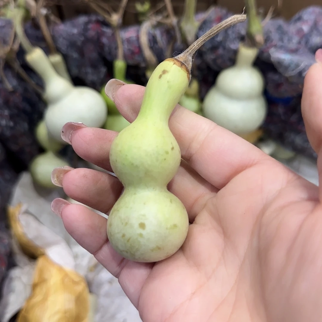 墨***戎葫芦给高Vhhhhhh搞好