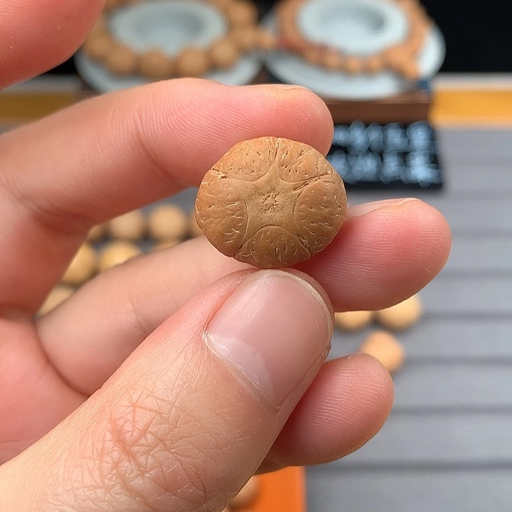 吊坠凤眼菩提20+五星，非质量问题开孔不退