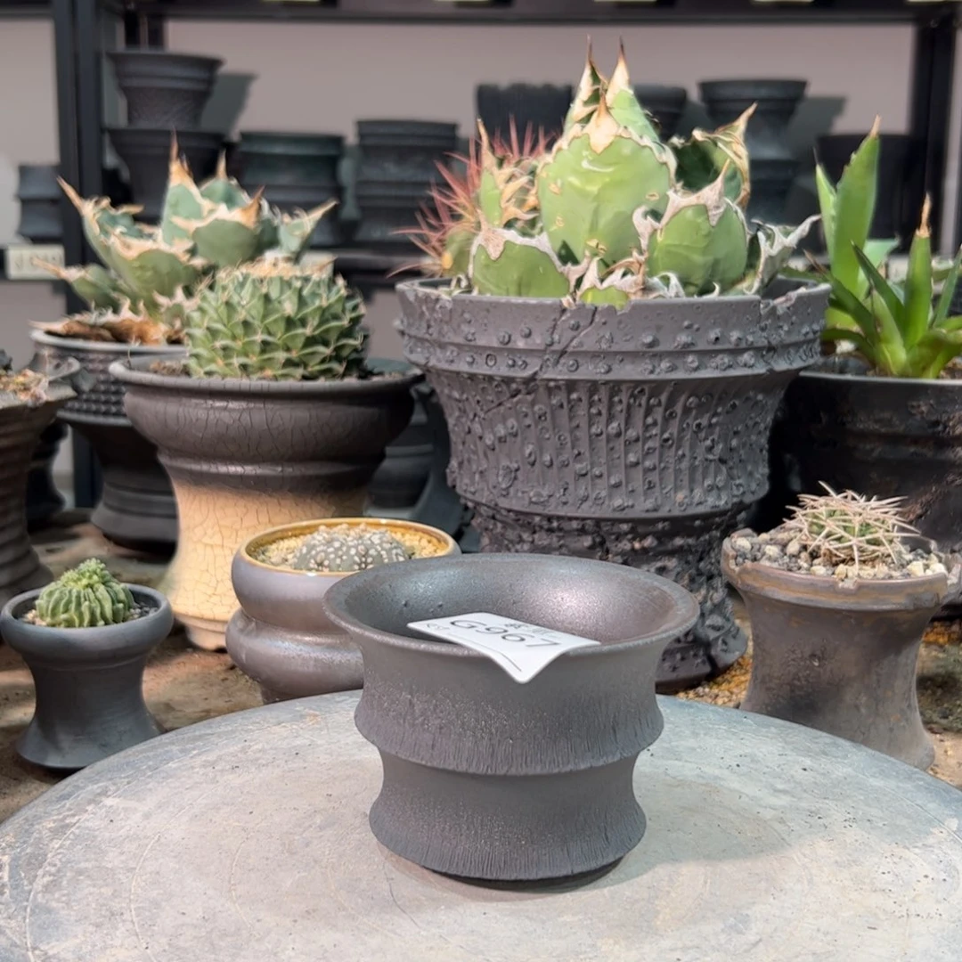 景德镇手工素里内口10高7