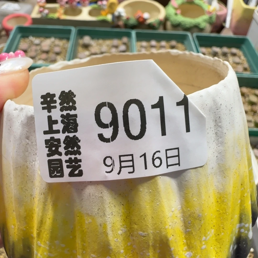 k***雯9.16。 盆 。  9011