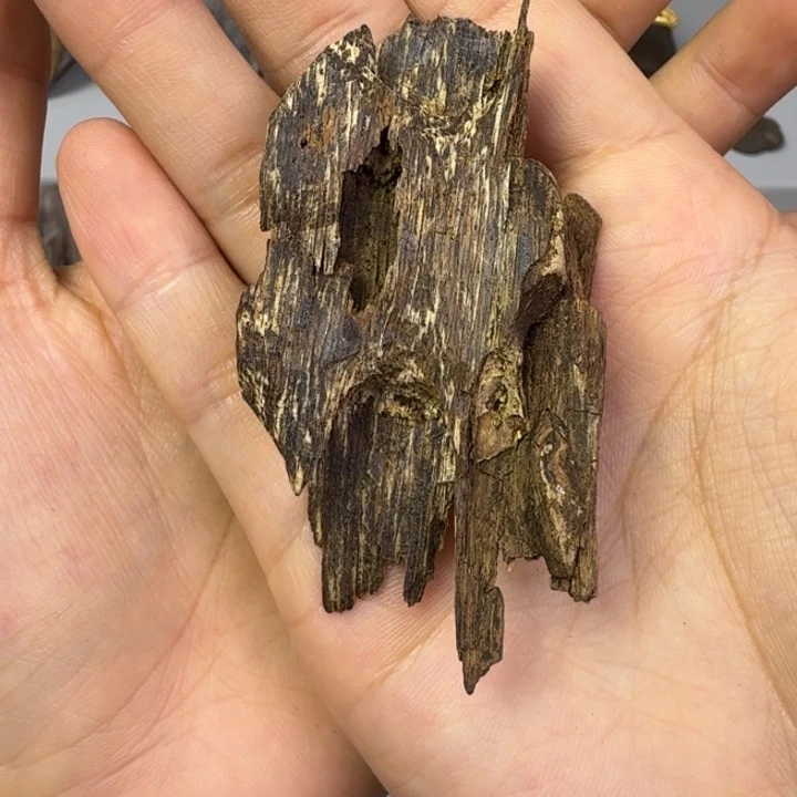 伟业香堂缅甸树心虫漏6.5克九分沉