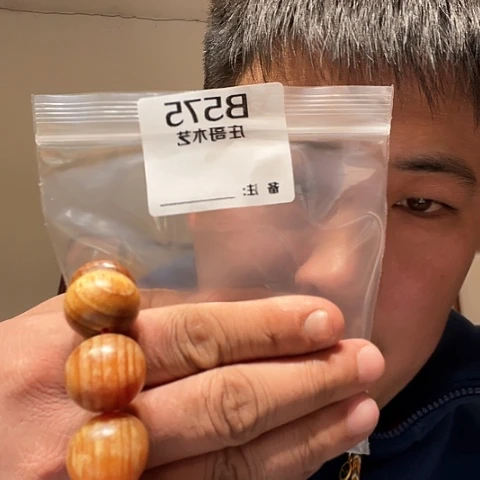 【闪购商品】香榧木黑檀木风车木，575