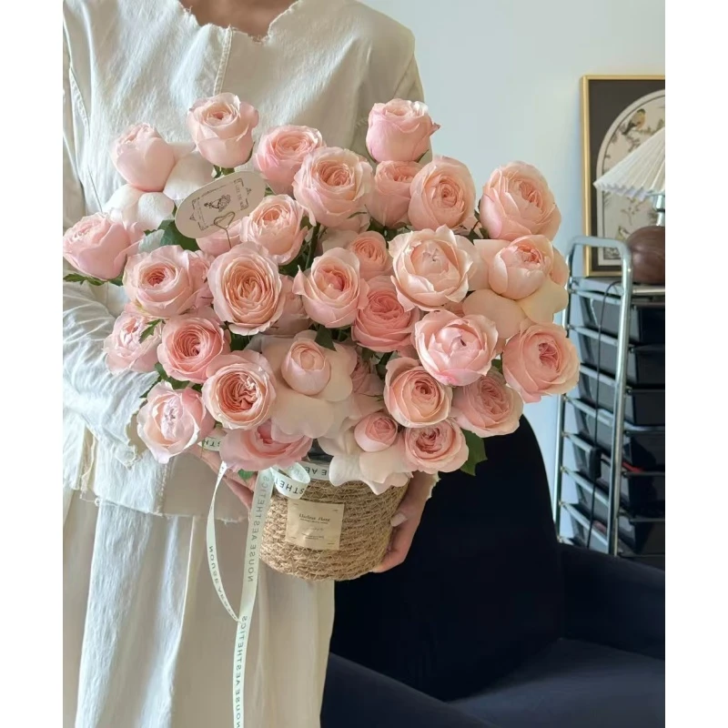 【凯瑟琳】 单头玫瑰   真花 鲜切花  一旦中通，两单顺丰发货