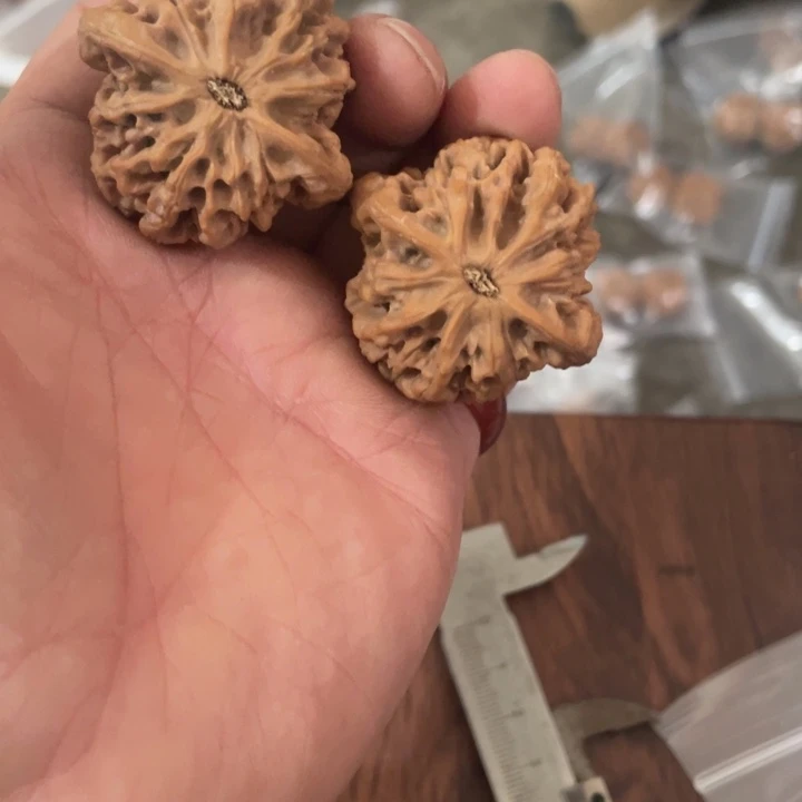 核桃手串/手链秦岭南侧和东北北部分别与