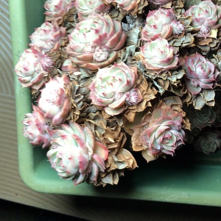 雨**滑73//////———//////