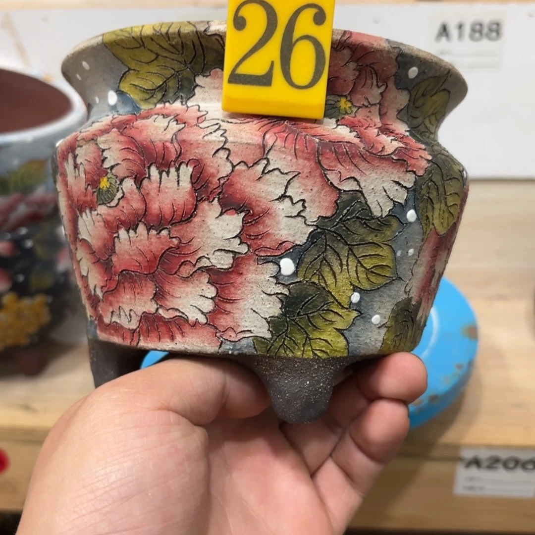 缸无*～哈哈哈哈哈哈哈哈哈哈哈哈
