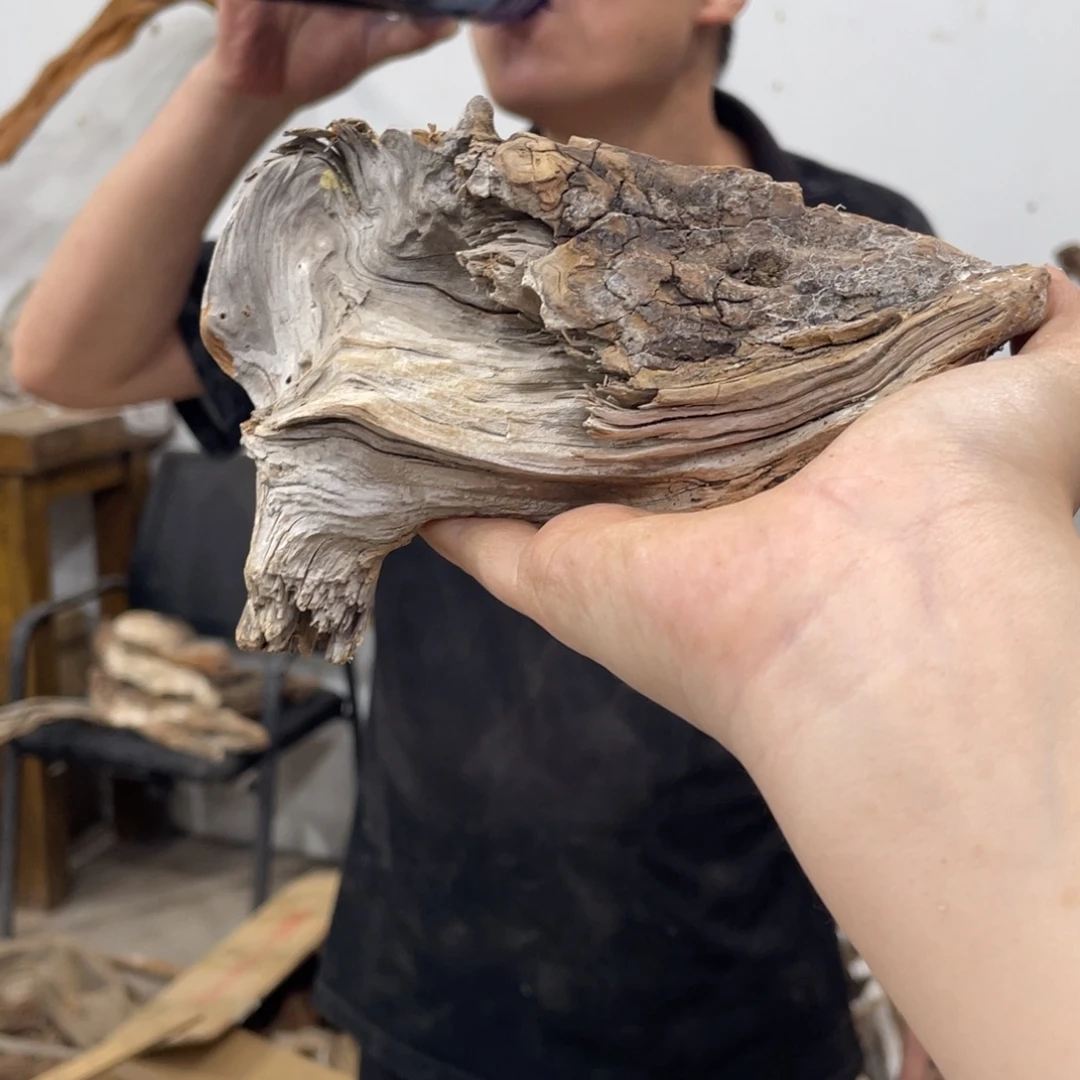 海***3我们都是好孩子呀