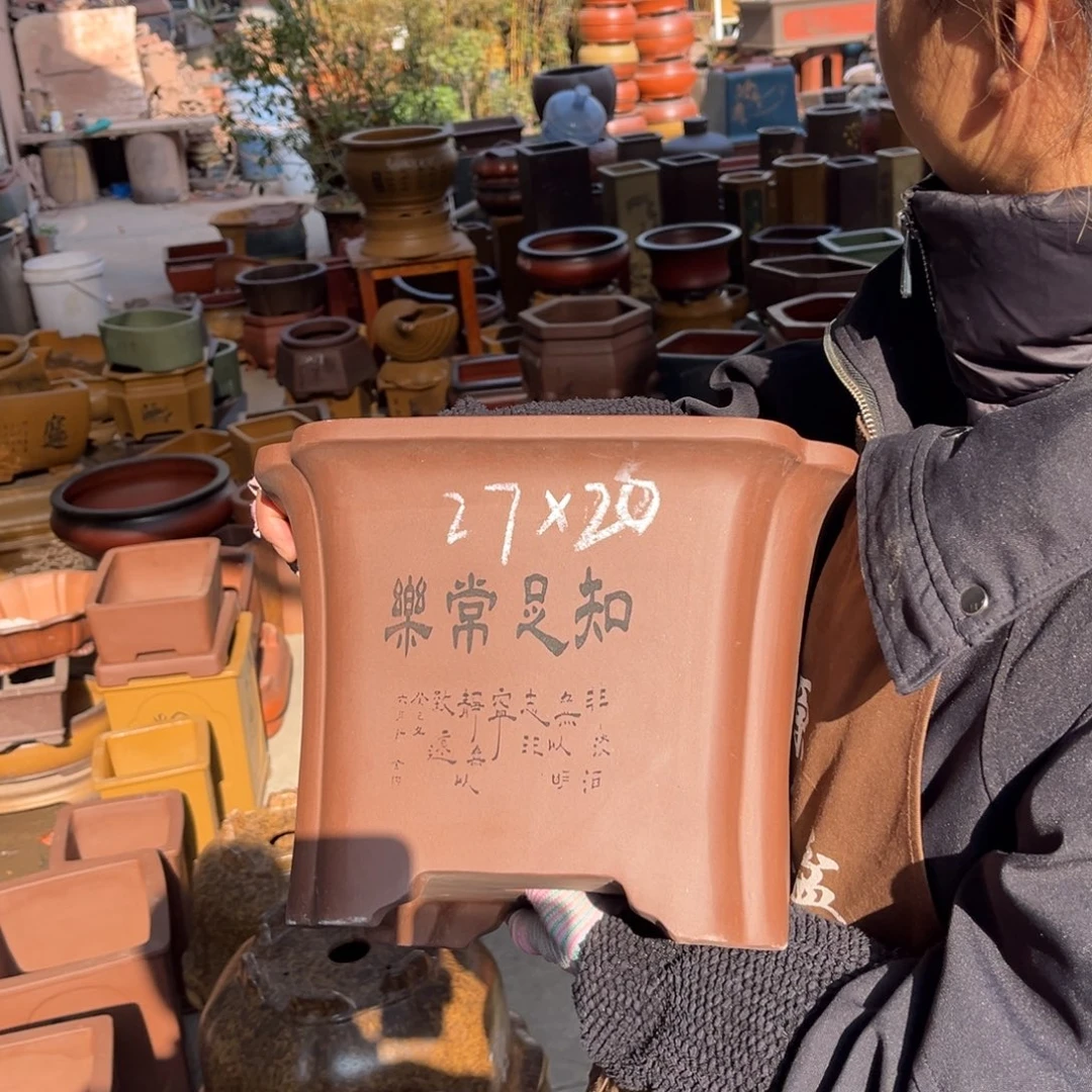 花盆紫砂盆景艺术