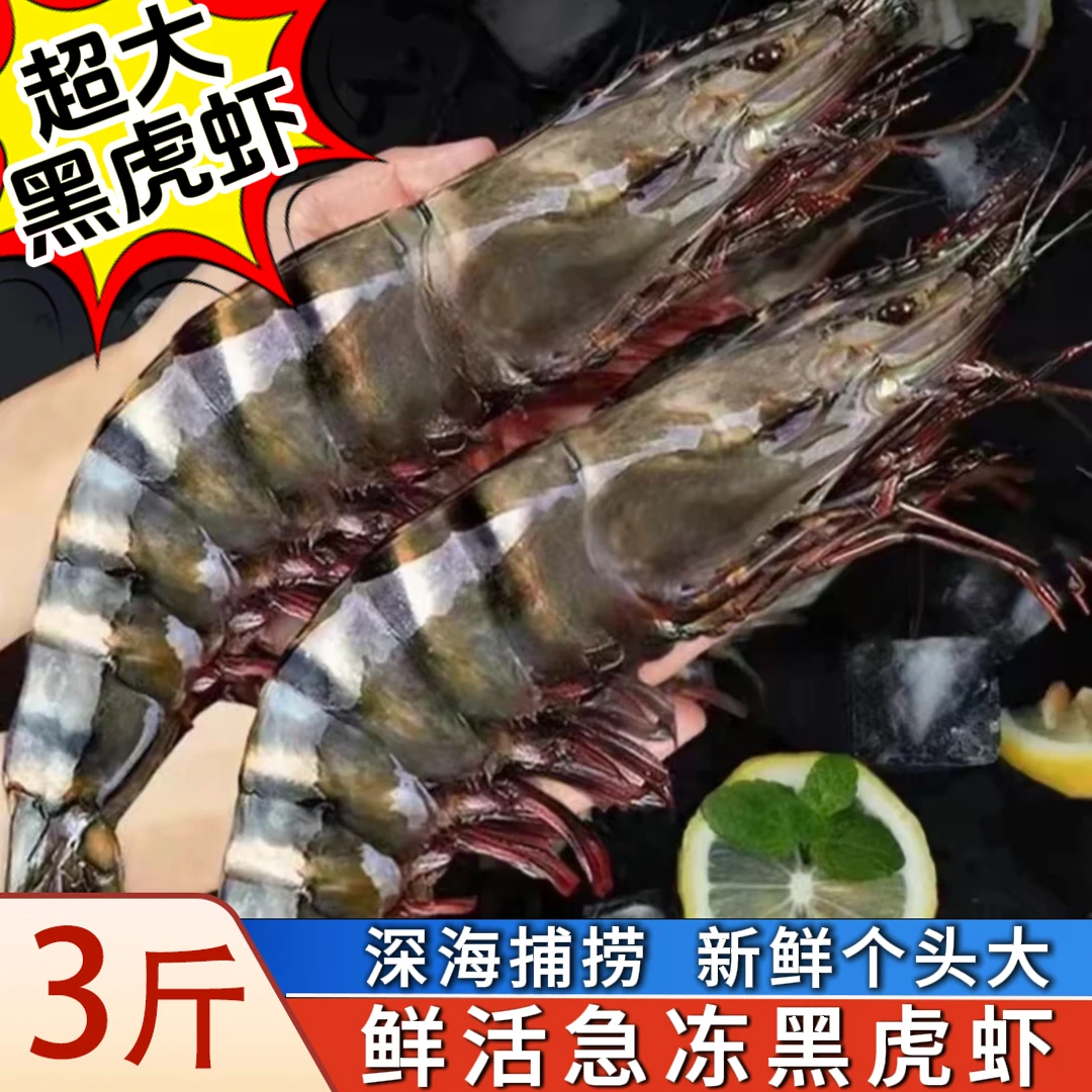 【7只左右/斤】A级1015规格黑虎虾3斤装21-24只左右鲜活船冻新鲜