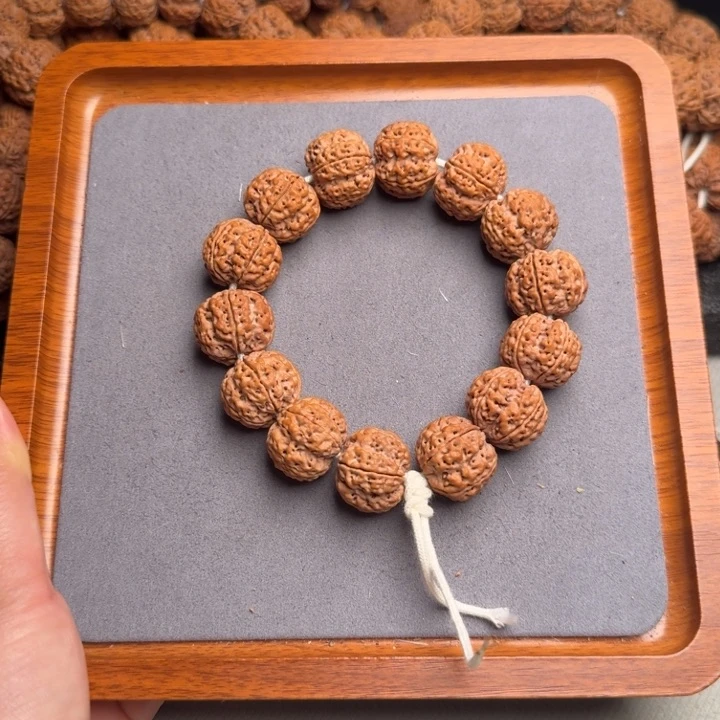 菩提4号尼泊尔大金刚21小肉球梅花