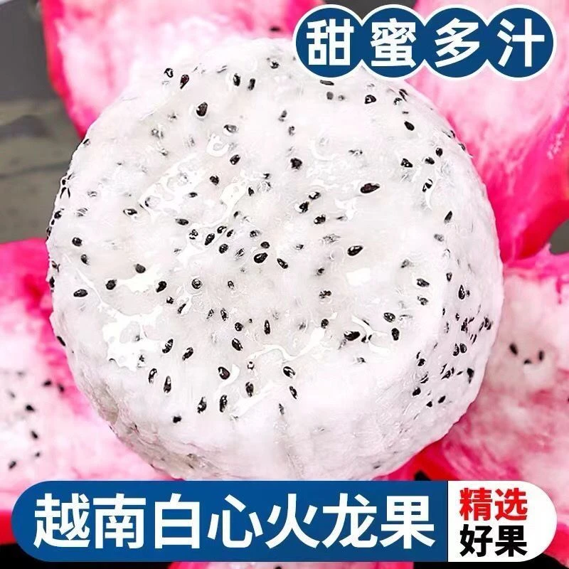 s云南新鲜现摘白心火龙果白肉火龙果当季孕妇热带水果整箱燕窝果