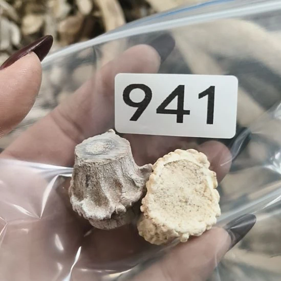 隐***娃鹿角鹿角鹿角鹿角鹿角鹿角