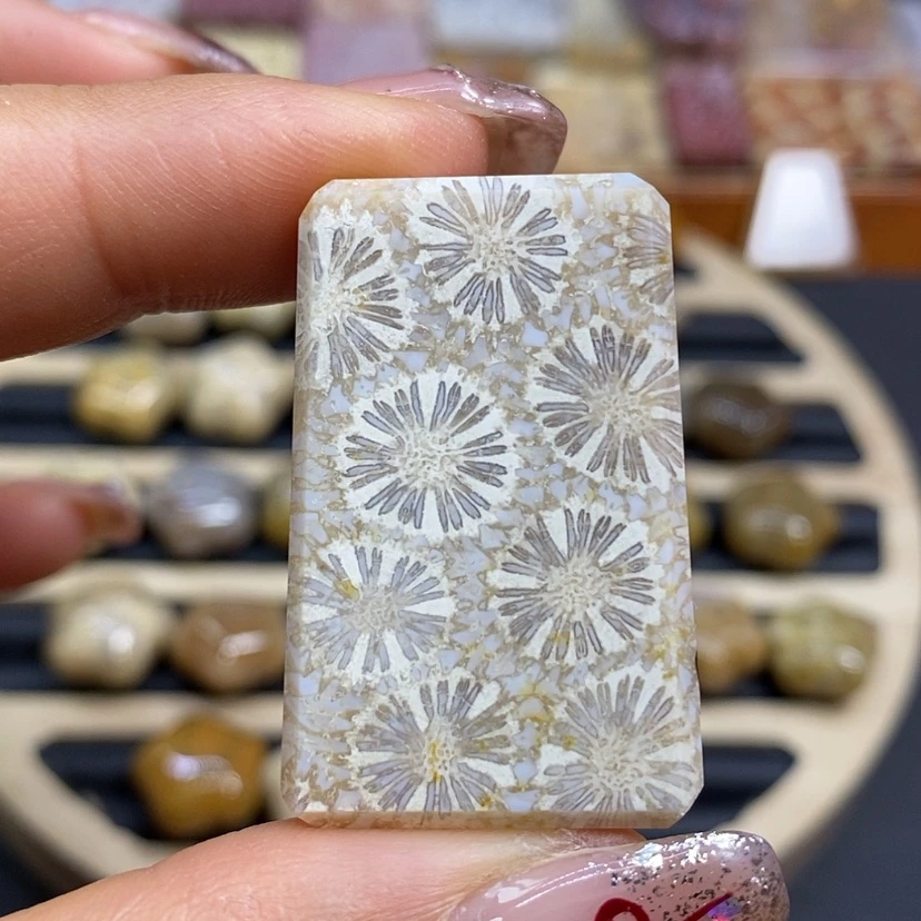 【闪购商品】硅化珊瑚（珊瑚玉）颈饰未镶嵌K5