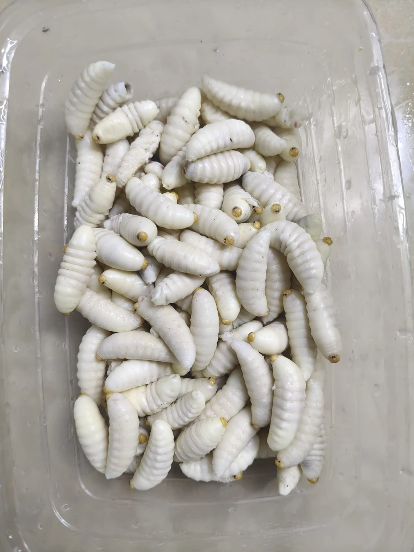 速冻金环虎头(一级二级三级)