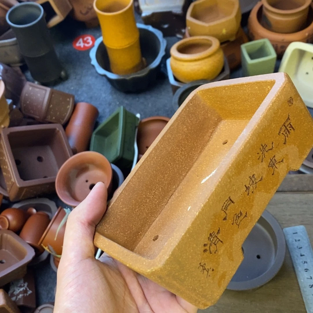 vvvvvvvvvvvvvvvv粗糙