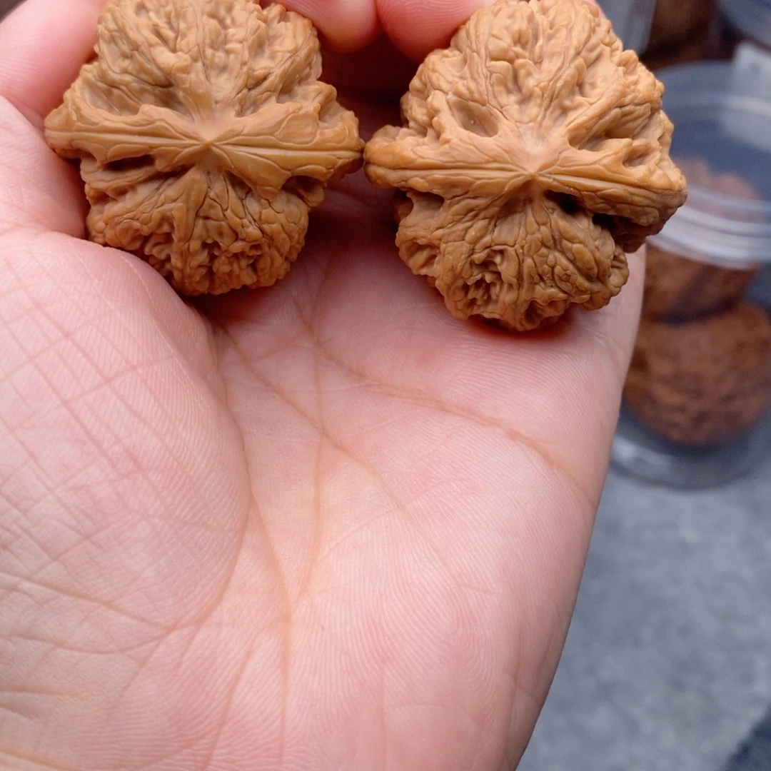 核桃手串/手链粗筋38修