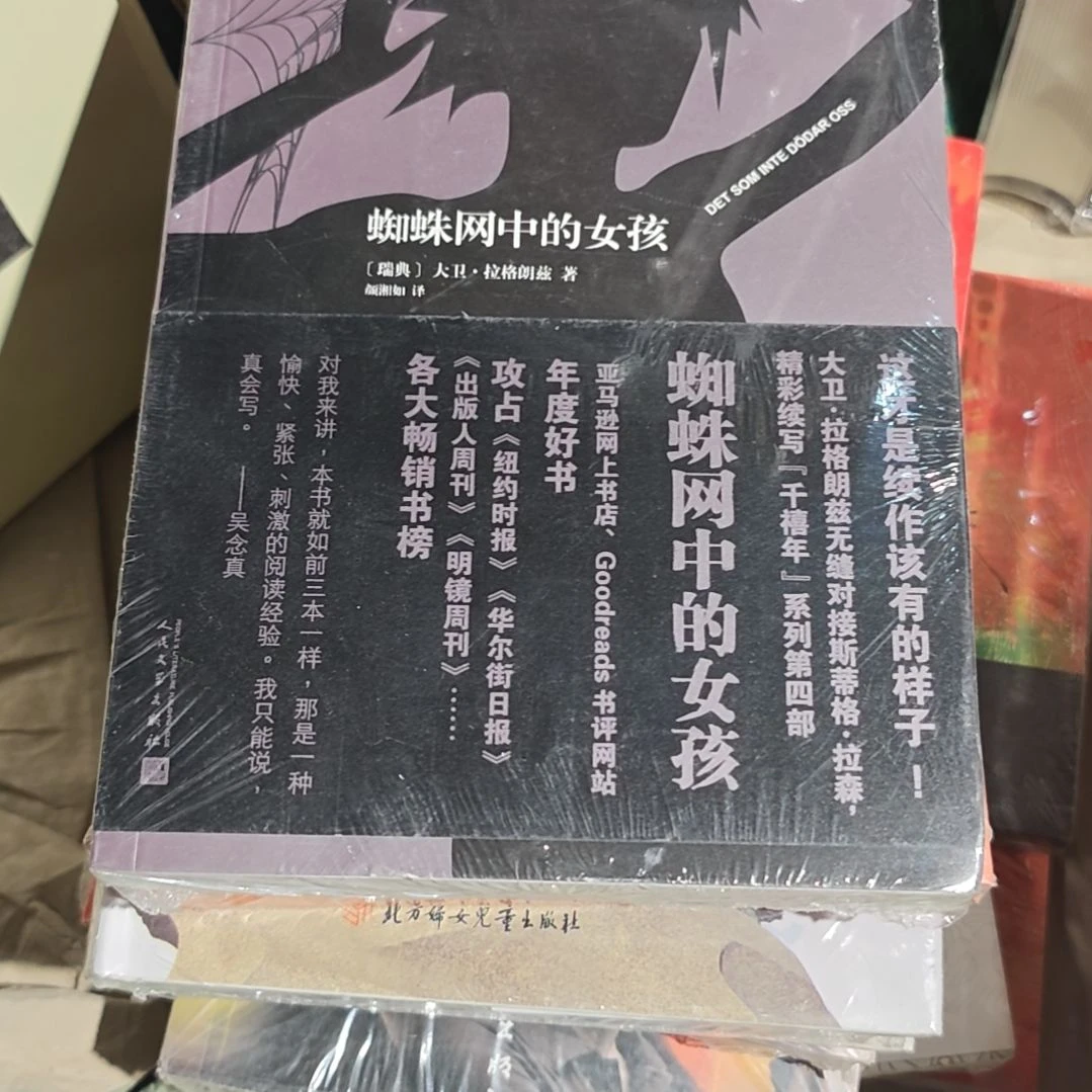 蜘蛛网中的女孩平装塑封