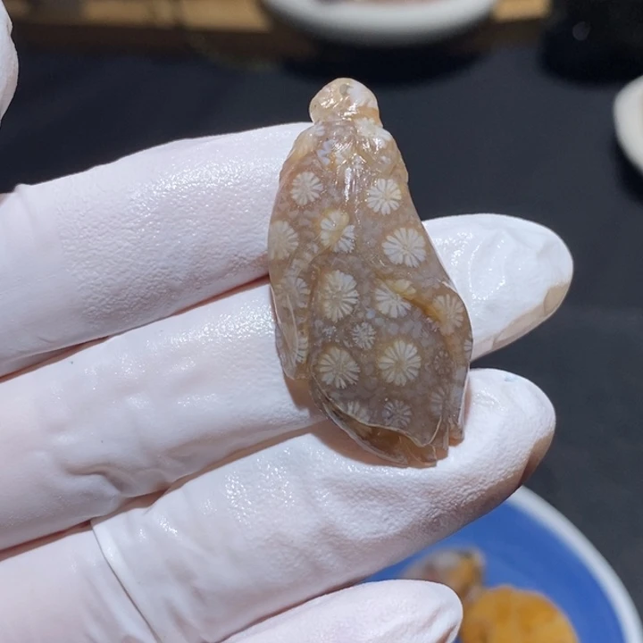 【闪购商品】未镶嵌珊瑚玉硅化玉