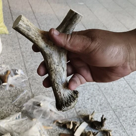 雾***发非金属无鹿角鹿角鹿角鹿角鹿角鹿角