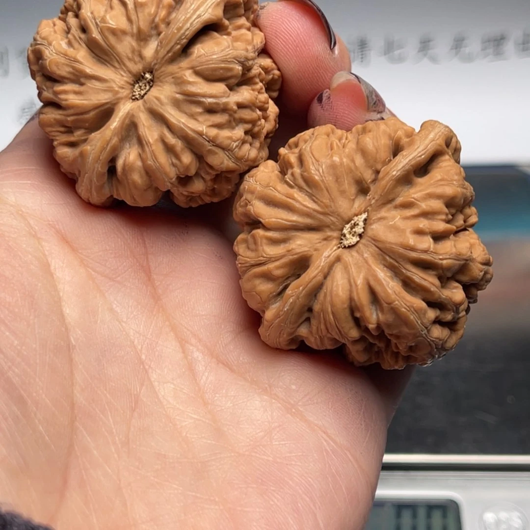 文玩核桃把件粗筋42