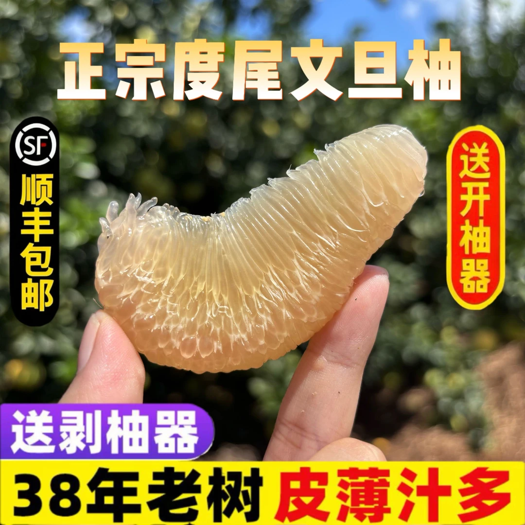 【顺丰】度尾文旦柚红心蜜柚福建仙游柚子新鲜应季孕妇水果酸甜多汁