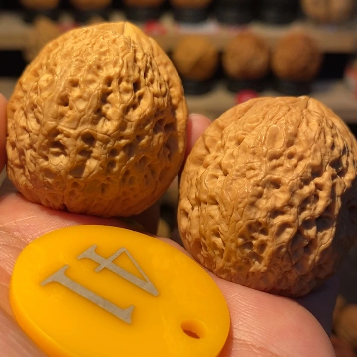 木质类龙鳞铁狮子40尺寸