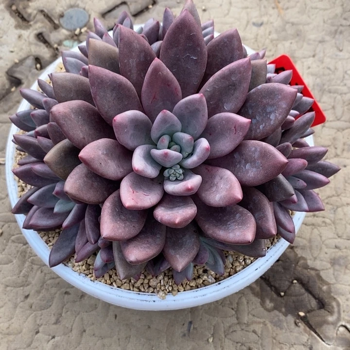 熹***妈888888888888888888