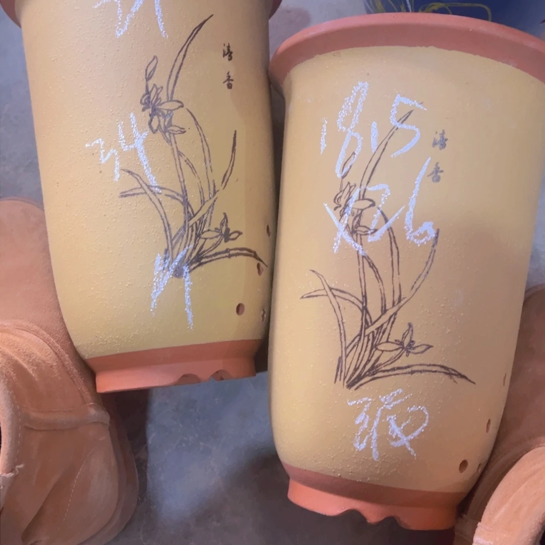 紫砂34……………………………………
