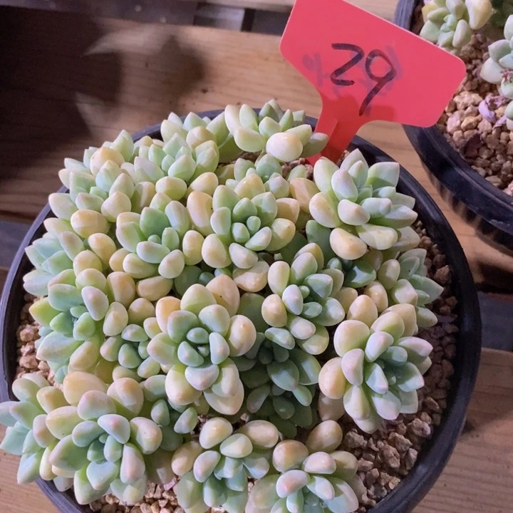 这么多事要等我们过去