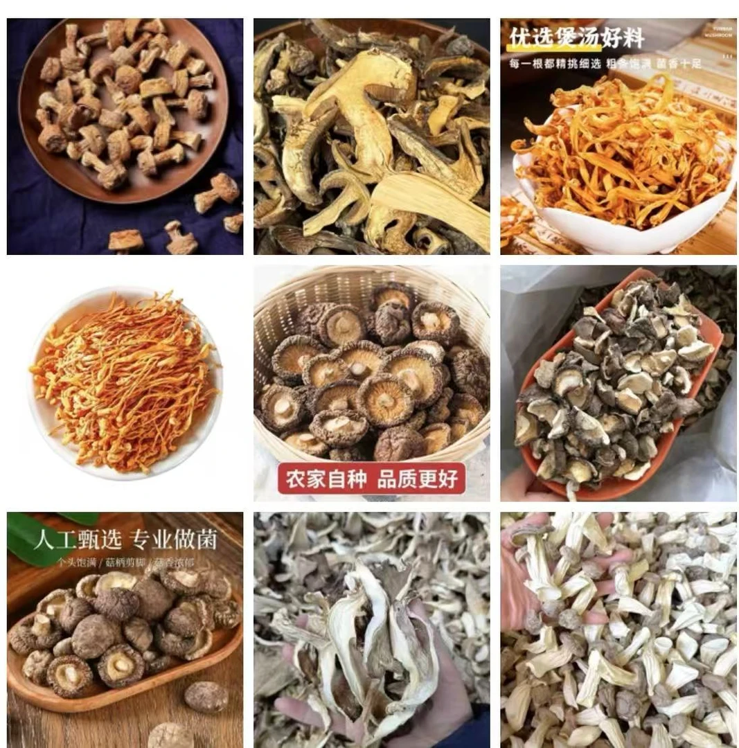 B01备用链接 高端品质 香菇菌子 现货山货