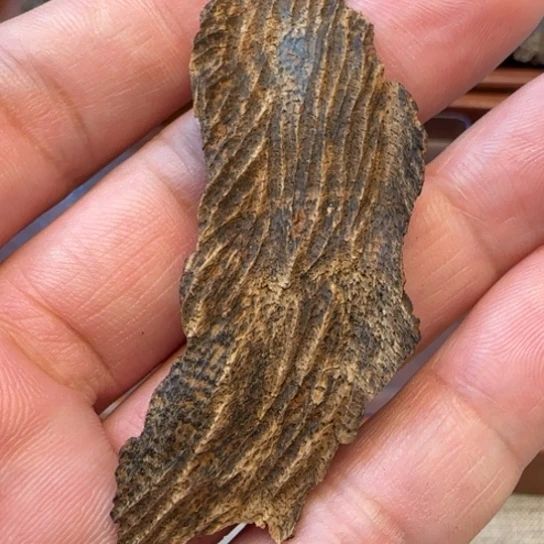 沉香摆件尖峰岭沉水包头2.7