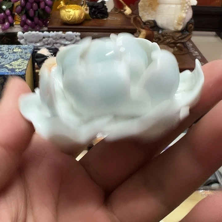 瓷片瓷器瓷器瓷器瓷器比萨hi
