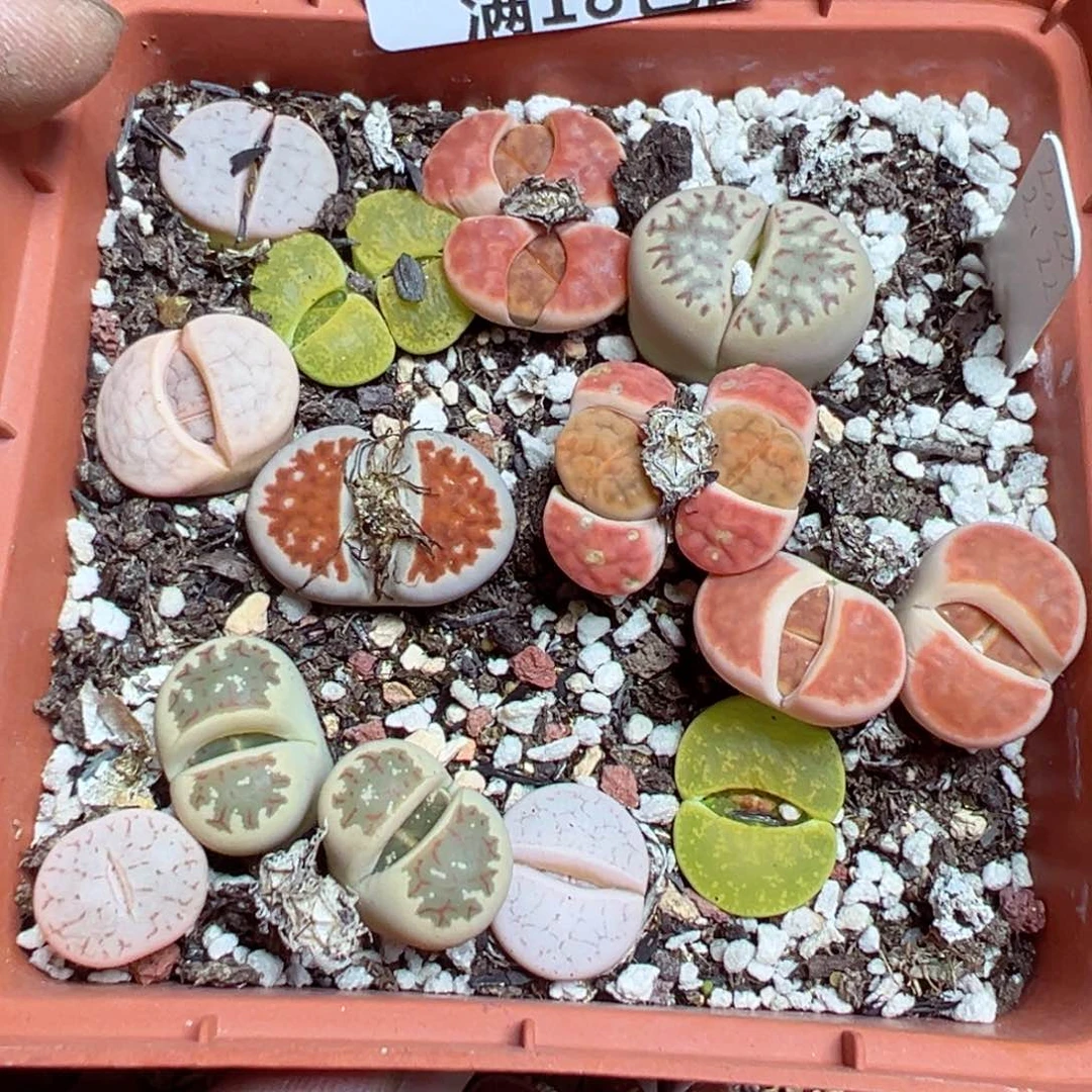 【闪购商品】 315.