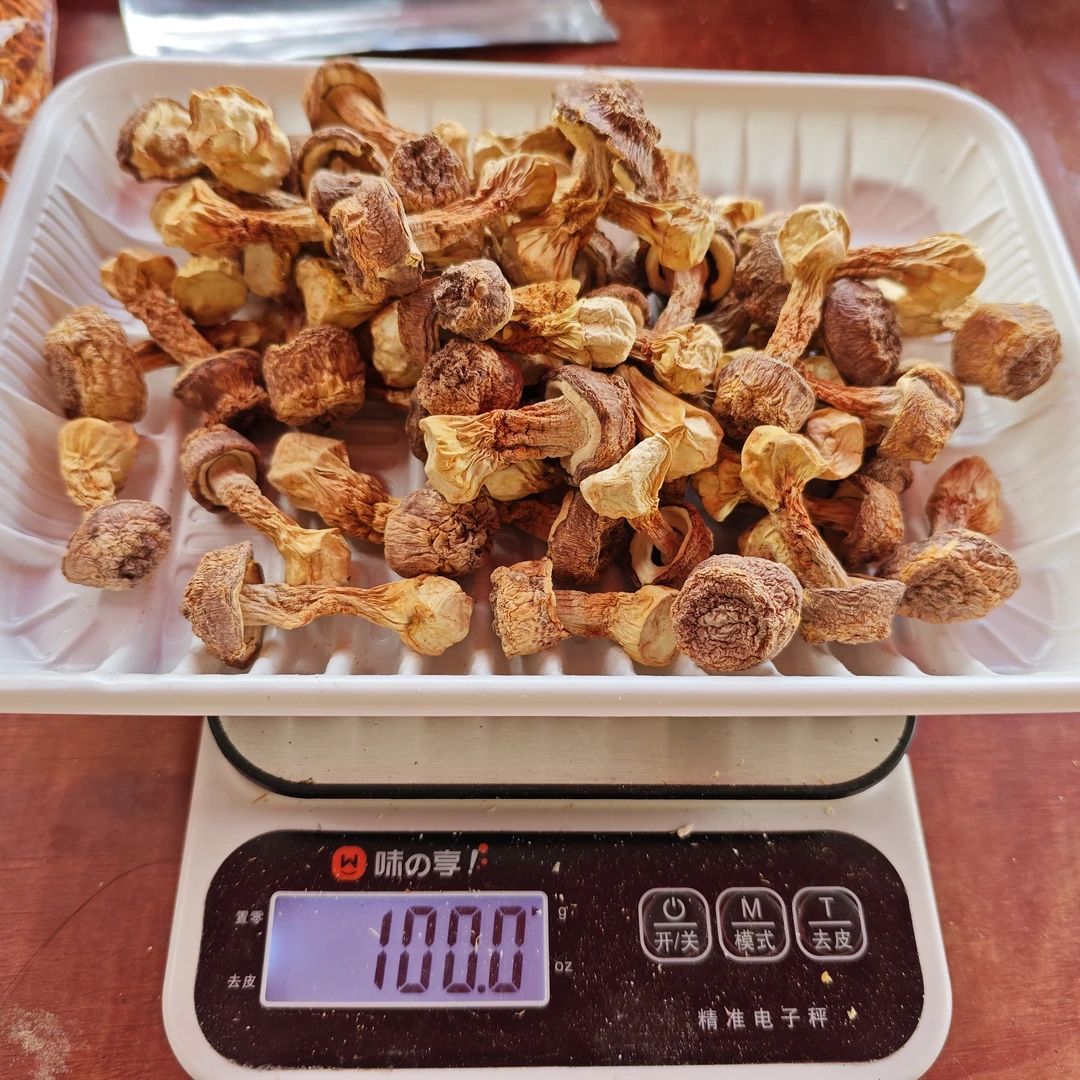 (干)云南特产姬松茸干货无熏硫食用野生菌菇可煲汤菇类干货