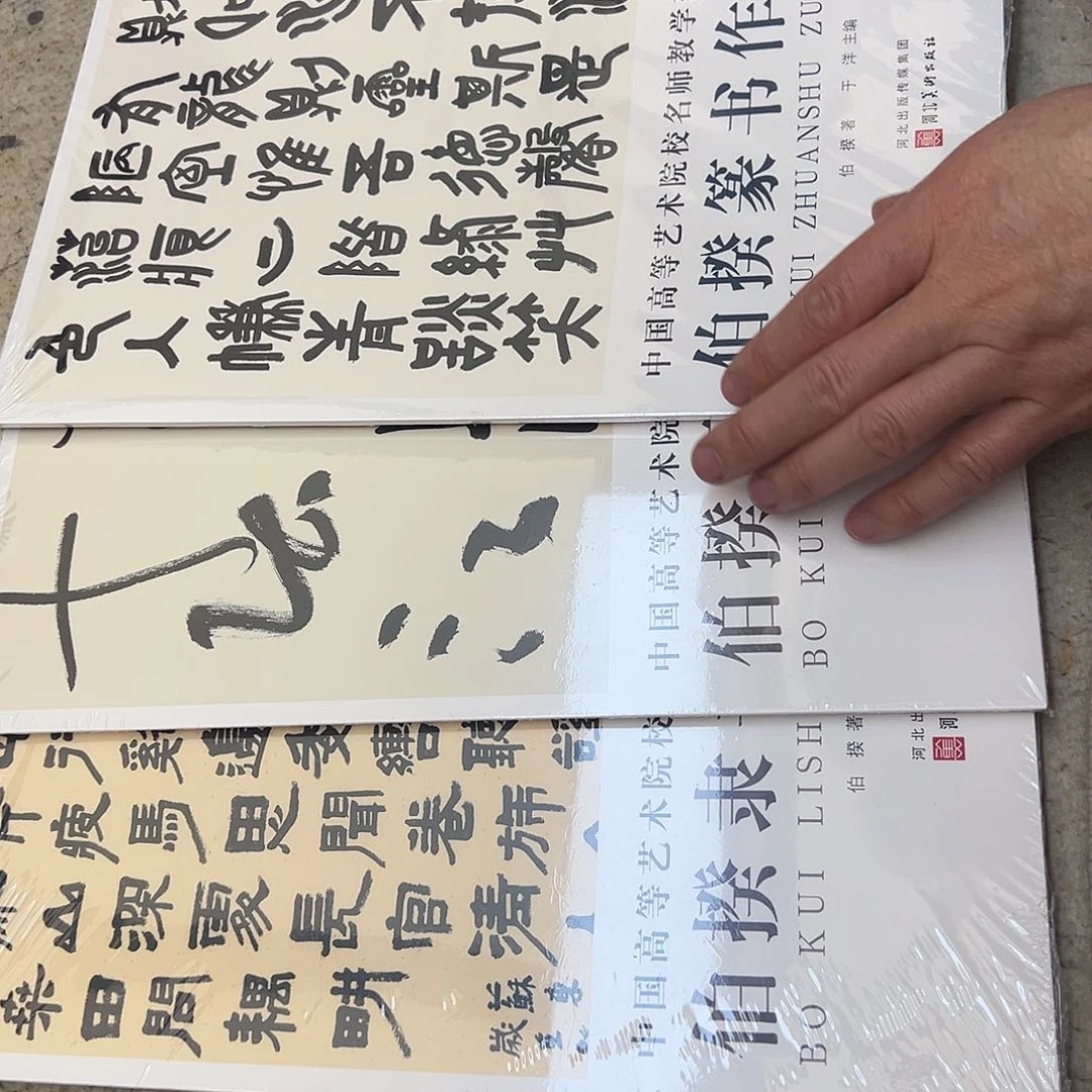 书法书法集画册作品