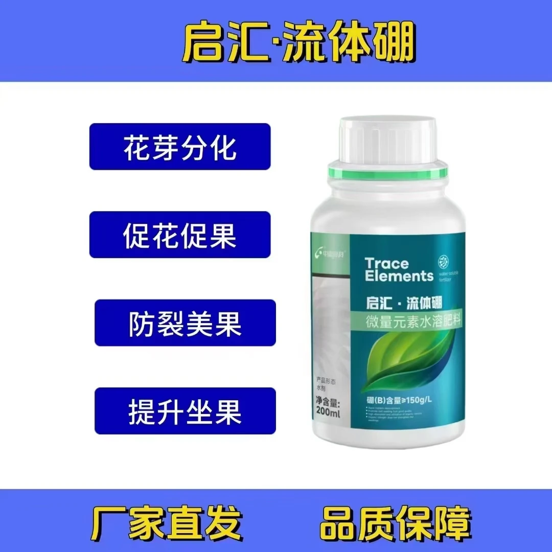 葡萄萌芽整齐花絮健壮开花授粉养分供应