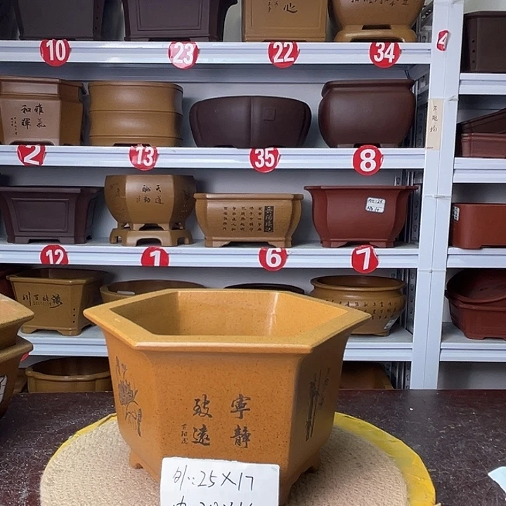 花盆紫砂你在一起