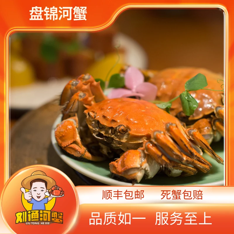 【活蟹】刘通盘锦河蟹全母蟹1.3-1.6两16只装顺丰包邮
