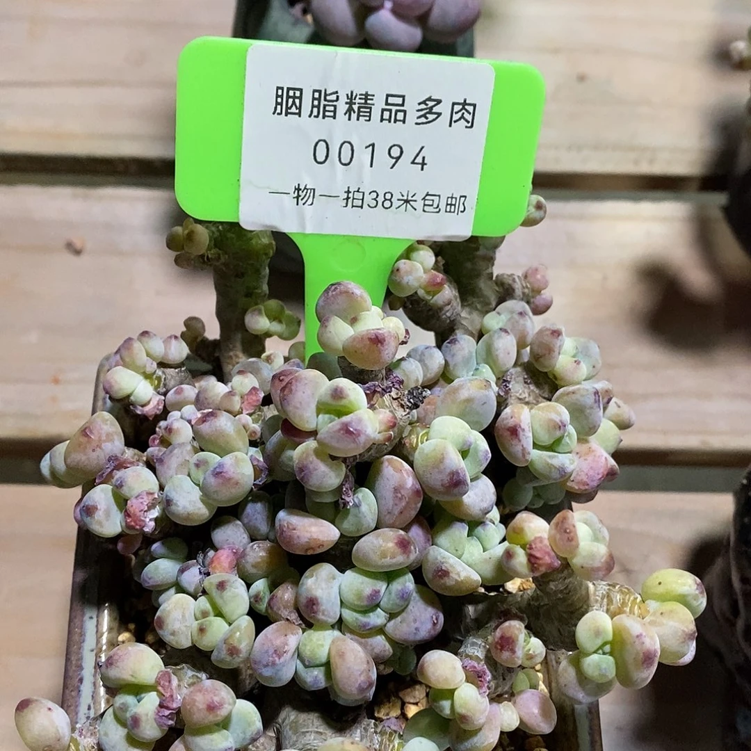 00194，具体咯图咯哦我