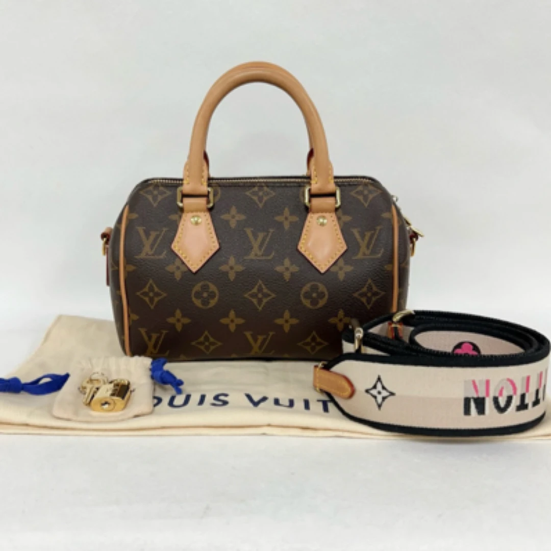 95新 LouisVuitton/路易威登 speedy 20 芯片款（0117