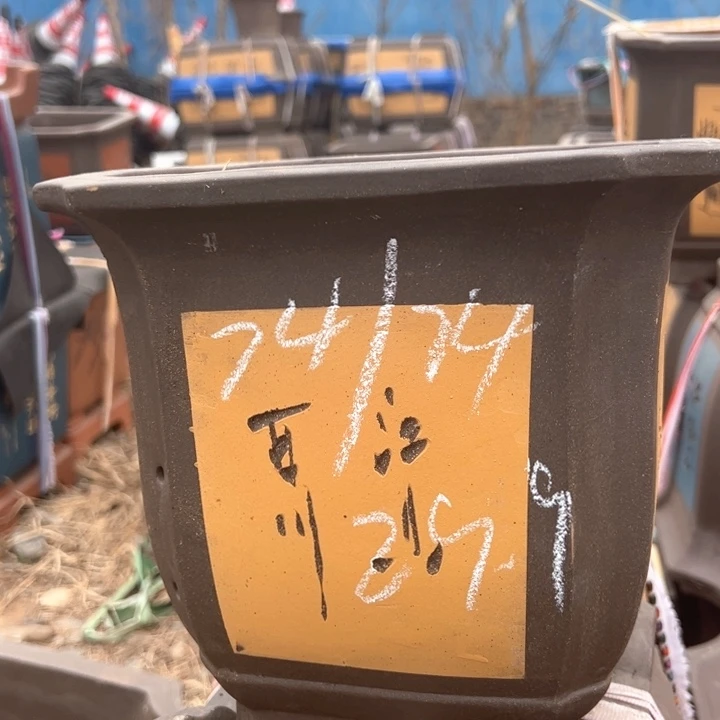 红陶紫砂四方无暇