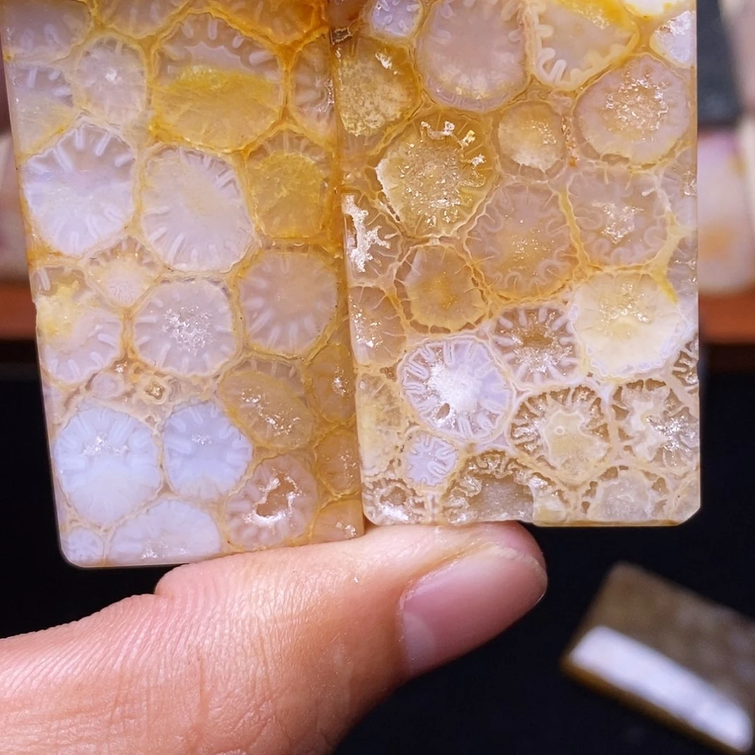 乱***河合金珊瑚玉硅化玉