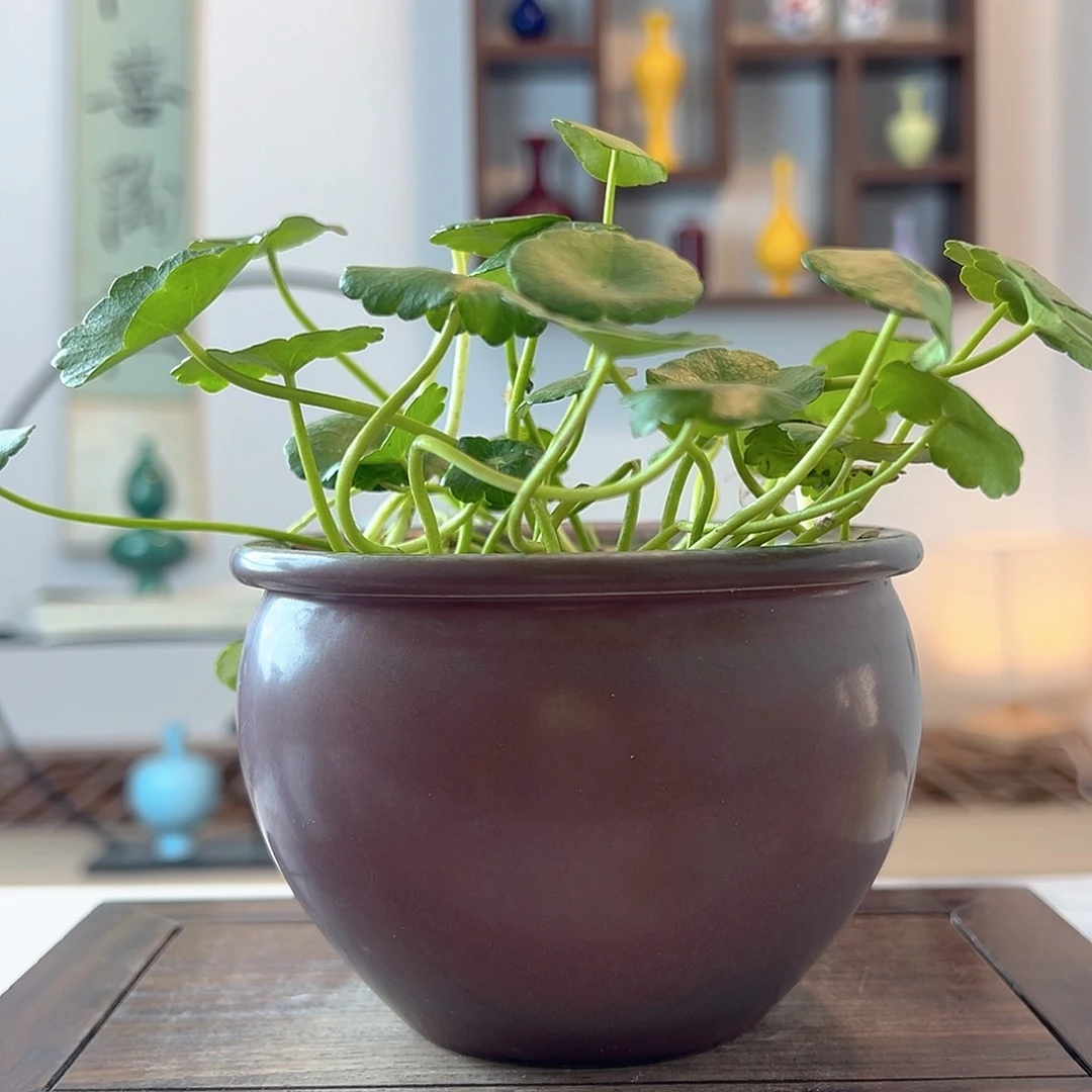 摆件陶景德镇陶瓷艺术展