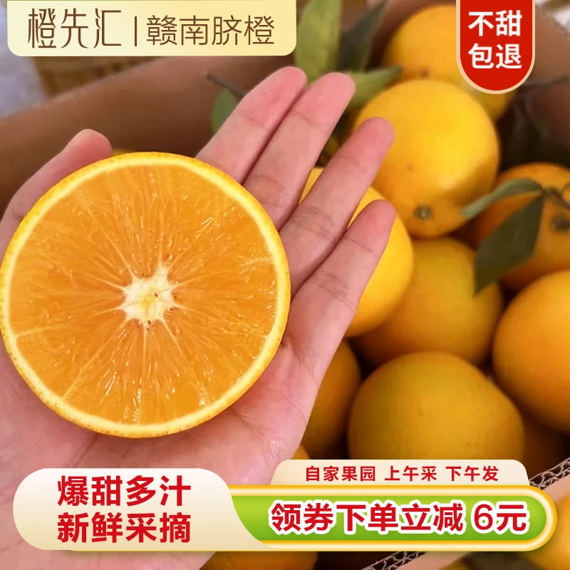 【3斤小果尝鲜装】正宗赣南脐橙 果农自己卖 产地寻乌 现采现摘超甜