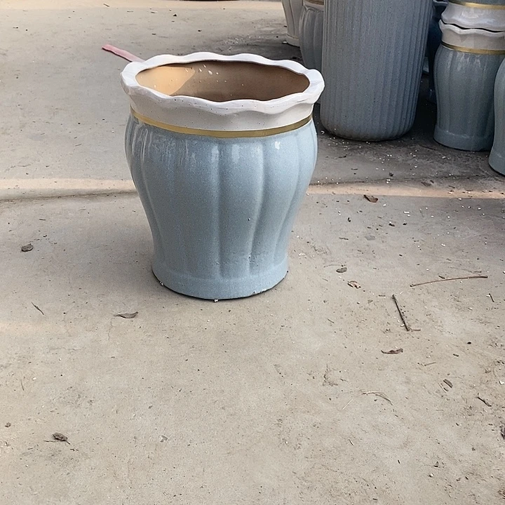 花口蓝南瓜大号口32高36福利