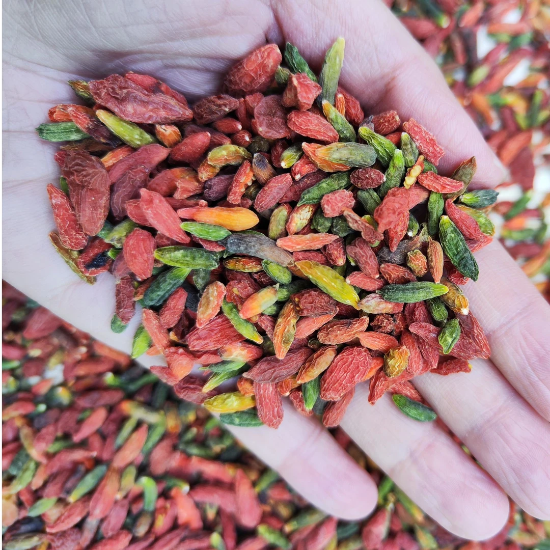 【野生枸杞】粤北山货野生枸杞