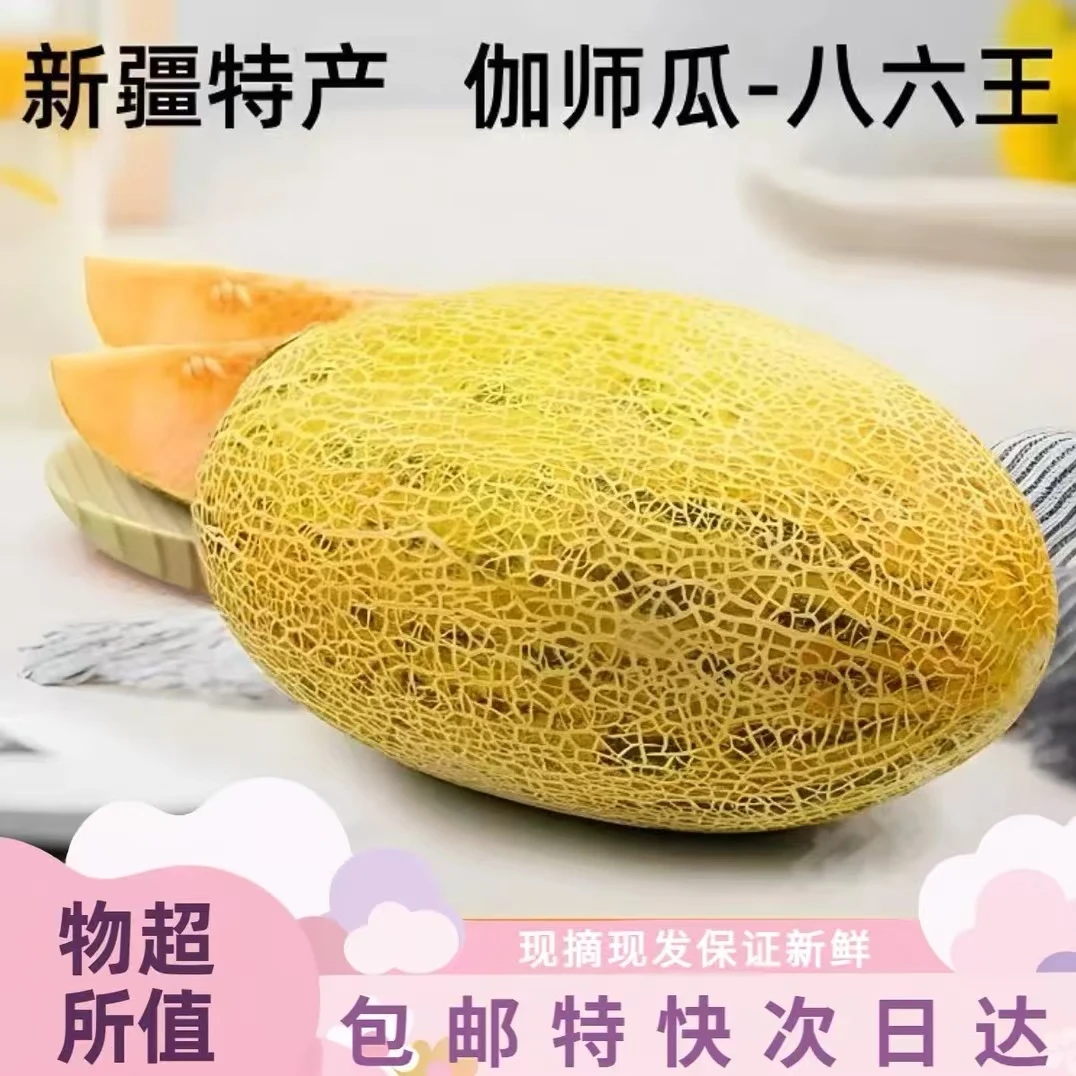 【包邮次日达】新鲜现摘现发新疆八六王哈密瓜水果爆甜蜜精品爆甜皮薄厚新疆维吾尔自治区