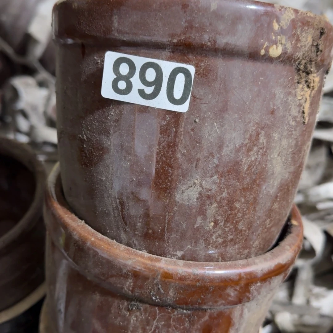 茶盏他也不会和我们去看